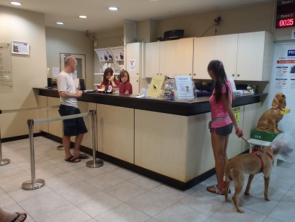 Animal Veterinary Clinic Singapore | Veterinary Hospitals Singapore